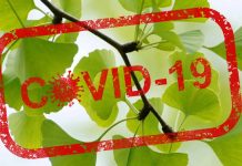 Il Ginkgo Biloba inibisce il Coronavirus – Potenziale erba per curare il COVID-19