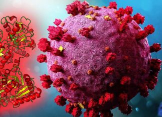 Lactoferrin as Antiviral Treatment in COVID-19