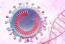 SARS-CoV-2 Utilizes Human Host Protein PCNA For Replication While DNA Of The Host Cells Are Damaged