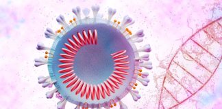 SARS-CoV-2 Utilizes Human Host Protein PCNA For Replication While DNA Of The Host Cells Are Damaged