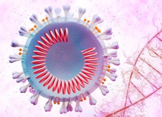 SARS-CoV-2 Utilizes Human Host Protein PCNA For Replication While DNA Of The Host Cells Are Damaged