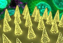New antibody-based method for rapid detection of SARS-CoV-2 uses interstitial fluid (ISF)