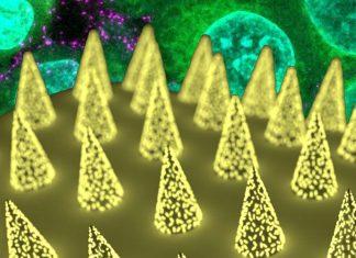 New antibody-based method for rapid detection of SARS-CoV-2 uses interstitial fluid (ISF)
