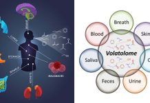 Volatolomics in healthcare