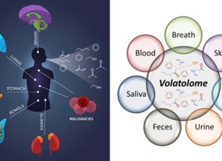 Volatolomics in healthcare