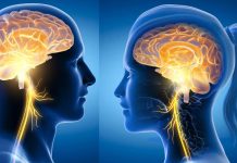 La stimolazione del nervo vago aumenta l’apprendimento in un sistema nervoso sano