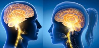 Vagus nerve stimulation increases learning in a healthy nervous system
