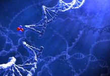 Medical pioneers in Israel use alpha-radiation to target the tumor without harming healthy tissue