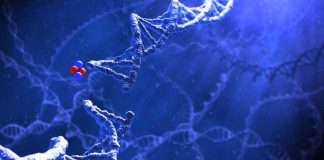 Medical pioneers in Israel use alpha-radiation to target the tumor without harming healthy tissue