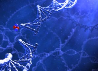 Medical pioneers in Israel use alpha-radiation to target the tumor without harming healthy tissue