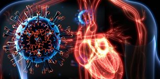 French Researchers Identify Two Unique Phenotypes of SARS-CoV-2 Infections Related Myocarditis