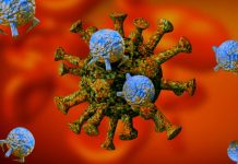 SARS-CoV-2 Virus Is Evolving To Evade Innate Responses And Interferons