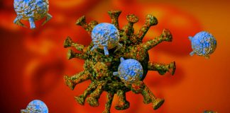 SARS-CoV-2 Virus Is Evolving To Evade Innate Responses And Interferons