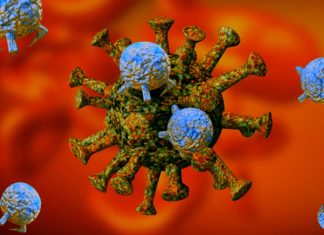 SARS-CoV-2 Virus Is Evolving To Evade Innate Responses And Interferons