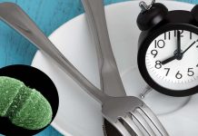 The influence of diet and time restricted feeding patterns in maintaining a healthy gut microbiome