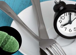 The influence of diet and time restricted feeding patterns in maintaining a healthy gut microbiome