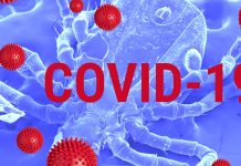 Correlation between COVID-19 severity and previous exposure of patients to Lyme Disease
