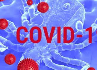 Correlation between COVID-19 severity and previous exposure of patients to Lyme Disease