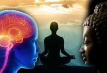 People who engage in self-reflection have better cognition and better glucose metabolism