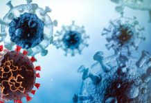 How does the virus make the decision to let its host live or kill ?