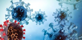 How does the virus make the decision to let its host live or kill ?