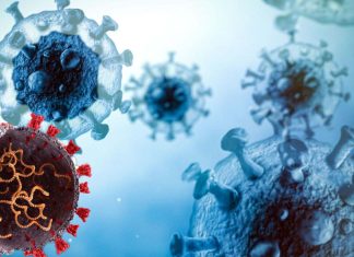 How does the virus make the decision to let its host live or kill ?