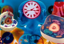 Circadian rhythm disruption plays a critical role in weight gain