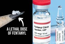 Fentanyl exposure produces specific EEG signatures in the brain