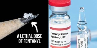 Fentanyl exposure produces specific EEG signatures in the brain