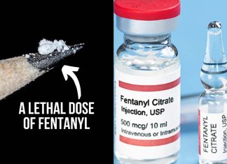 Fentanyl exposure produces specific EEG signatures in the brain