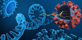 Many Long COVID-19 Patients Have Higher Levels Of Circulating SARS-CoV-2 Viral RNA Compared To Those With Acute Infection