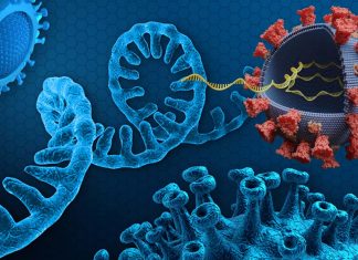 Many Long COVID-19 Patients Have Higher Levels Of Circulating SARS-CoV-2 Viral RNA Compared To Those With Acute Infection