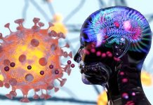 Researchers identify biomarkers to confirm the presence of NeuroCOVID in long-term COVID patients