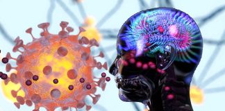 Researchers identify biomarkers to confirm the presence of NeuroCOVID in long-term COVID patients