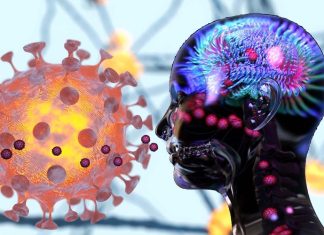 Researchers identify biomarkers to confirm the presence of NeuroCOVID in long-term COVID patients