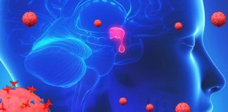 First Documented Long COVID Case Study Involving Impaired Secretion of Adrenocorticotropic Hormone Due To SARS-CoV-2 Infection