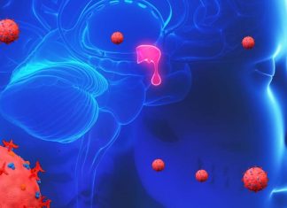First Documented Long COVID Case Study Involving Impaired Secretion of Adrenocorticotropic Hormone Due To SARS-CoV-2 Infection