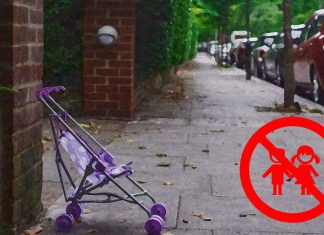 Over 20% of adults do not want children and intend to remain child-free