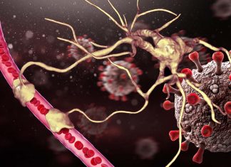 SARS-CoV-2 Infects The Astrocytes Of The Human Brain Using NRP1 Receptors – Causing Damage