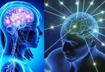 Our brains obtain information from sick people, eliciting changes in our physiology and immune response