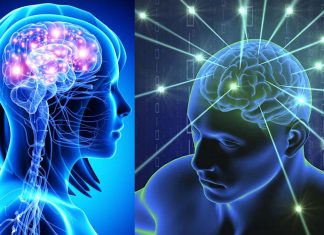 Our brains obtain information from sick people, eliciting changes in our physiology and immune response