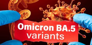 BA.5 Disrupts Respiratory Epithelial And Endothelial Barriers More Efficiently