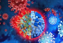 Precedenti infezioni virali, inclusa l’influenza H3N2, possono causare la gravità del COVID-19 a causa dell’interferenza antigenica