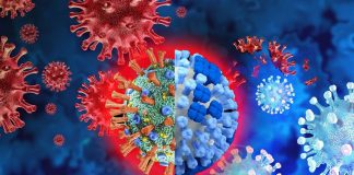 Precedenti infezioni virali, inclusa l’influenza H3N2, possono causare la gravità del COVID-19 a causa dell’interferenza antigenica