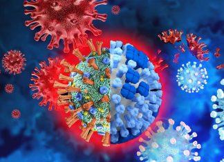 Precedenti infezioni virali, inclusa l’influenza H3N2, possono causare la gravità del COVID-19 a causa dell’interferenza antigenica