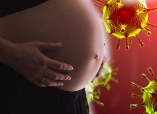Up To 49 Percent Of Pregnant Women Infected With COVID-19 Will Have Abnormal Placenta Pathologies