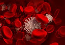 German Study Shows Persistent Capillary Rarefication Even 18 Months After COVID-19 Infection