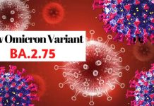 Japanese Study Indicates that Covid-19 BA.2.75 Is More Pathogenic