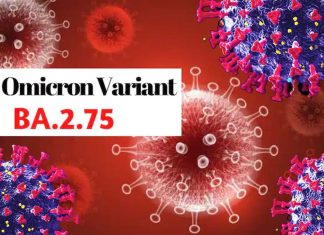 Japanese Study Indicates that Covid-19 BA.2.75 Is More Pathogenic