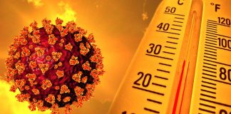 SARS-CoV-2 Has Evolved To Withstand Higher Temperatures